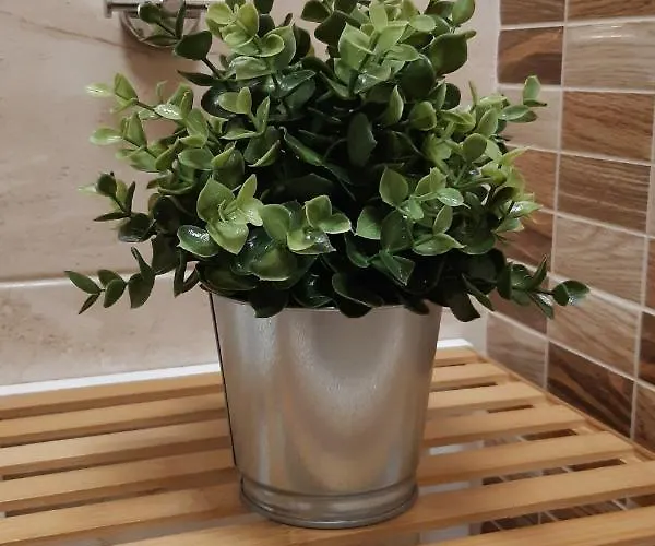 адикт * 소조폴