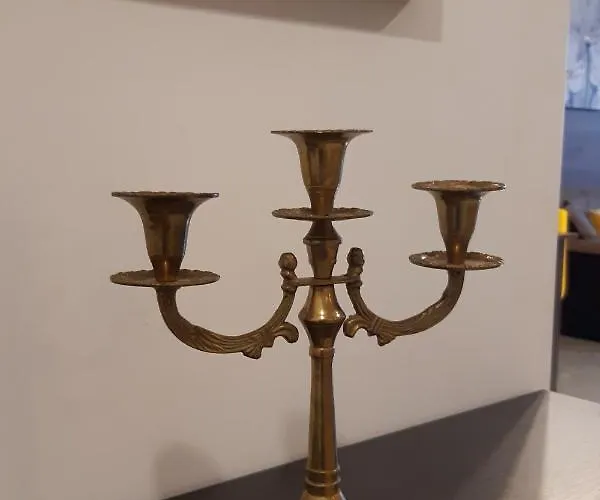 адикт 소조폴