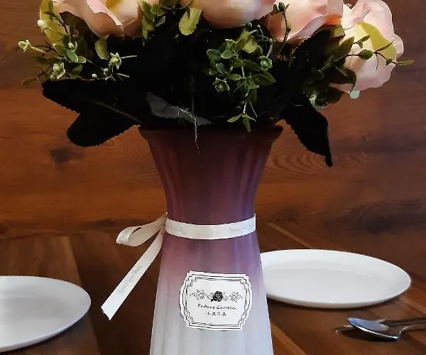 адикт 소조폴