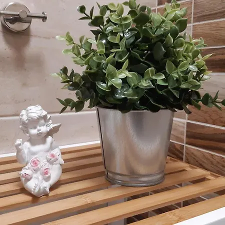 Appartement адикт